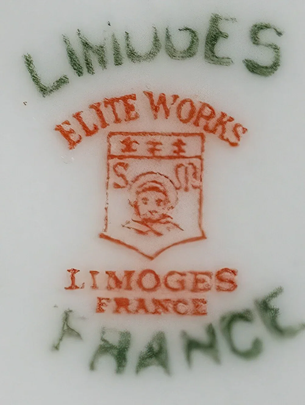 Beautiful Antique Elite Works Limoges France LIM48 Yellow Rose Dinnerware Set